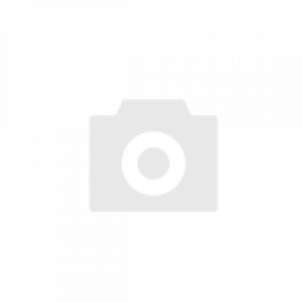 Знаменитости: от юности до вершины славы